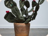 Nopal - 2010
In collaboration with Delfina Medina
